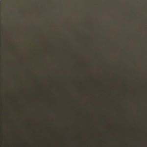 Meet your Posher, Mollie